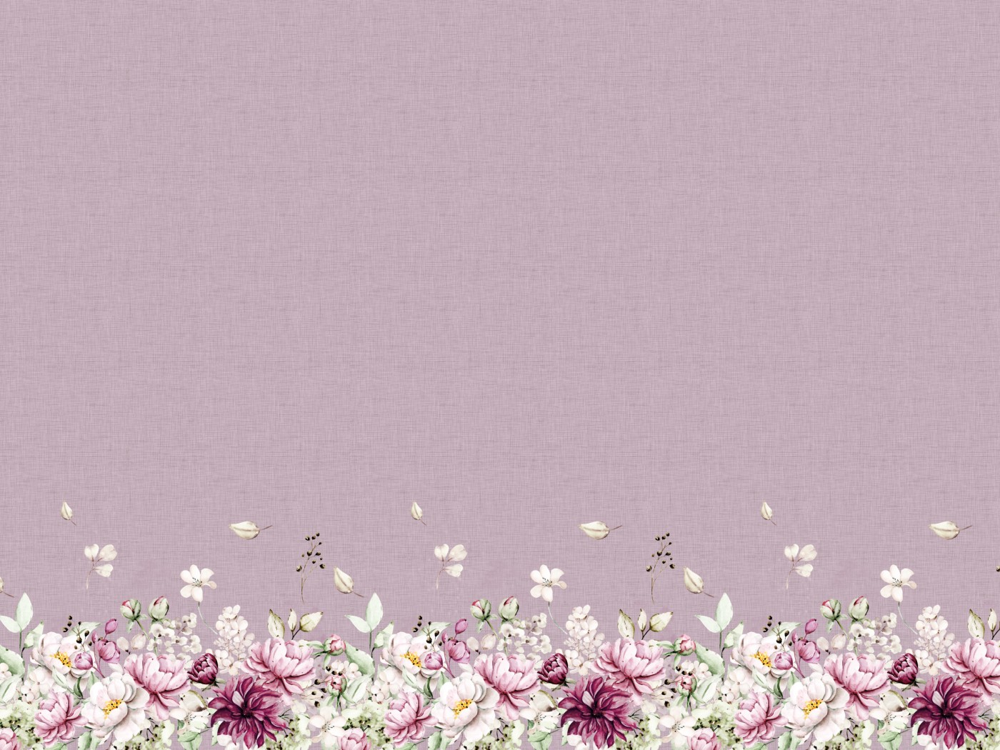 Baumwoll Jersey Peonies Rose Bordüre 0,5 m